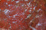 Red, Indonesian Plume Agate Slab - North Sumatra, Indonesia #185369-1